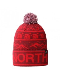 the-north-face-ski-tuke-nf0a4sie7r51-cap